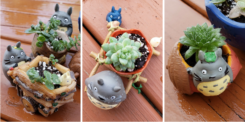 Make a Wee Garden with a Totoro Theme